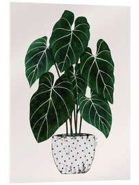 Acrylglasbild Philodendron