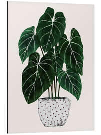 Tableau en aluminium Philodendron plant