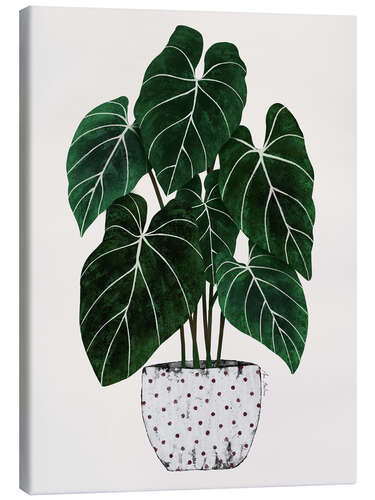 Stampa su tela Philodendron plant