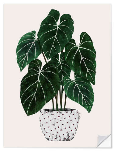 Sticker mural Philodendron plant