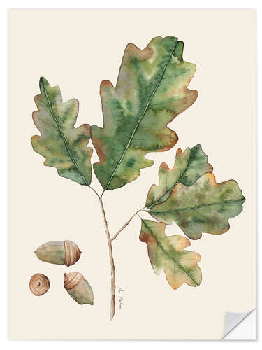 Naklejka na ścianę Oak leaves