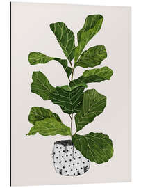 Aluminium print Fiddle leaf plant