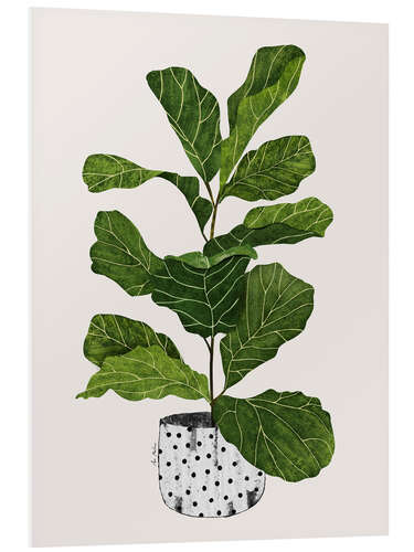 PVC-taulu Fiddle leaf plant