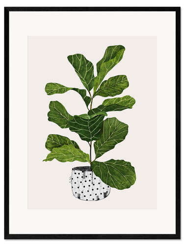 Framed art print Fiddle leaf plant