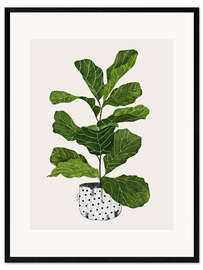 Ingelijste kunstdruk Fiddle leaf plant