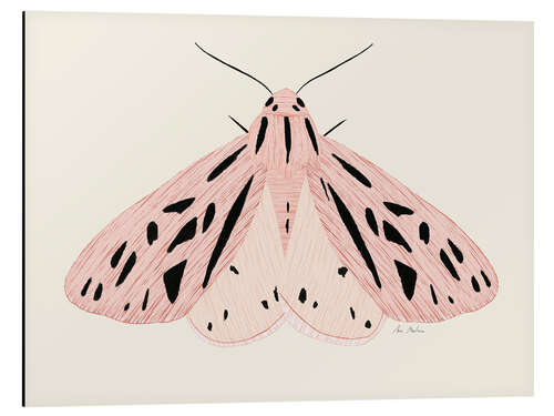 Obraz na aluminium Pink moth