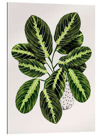 Gallery Print Maranta Blattwerk