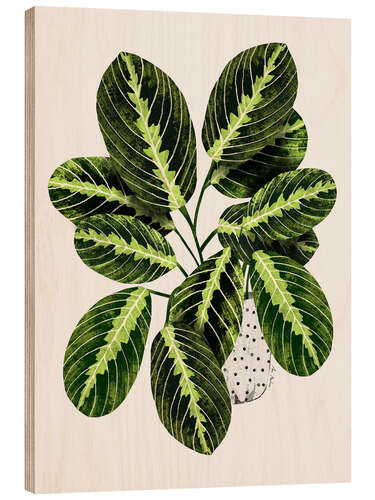 Tableau en bois Maranta plant