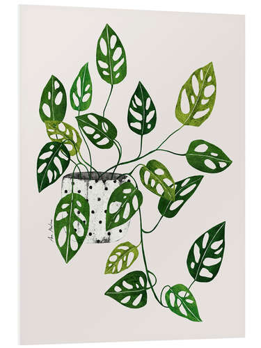 Foam board print Monstera obliqua plant