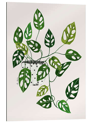 Gallery print Monstera obliqua plant