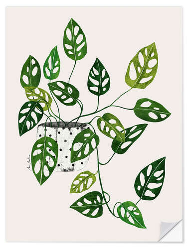 Wall sticker Monstera obliqua plant