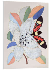 Quadro em plexi-alumínio Magnolia blossom and moth