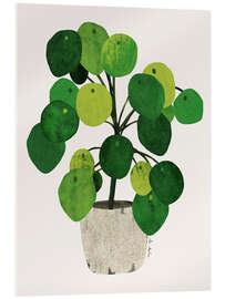 Acrylglasbild Pilea Pflanze