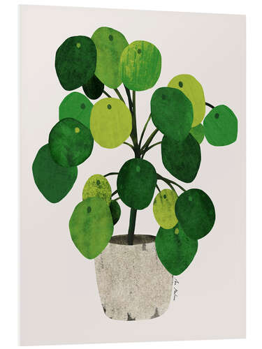 Foam board print Pilea plant