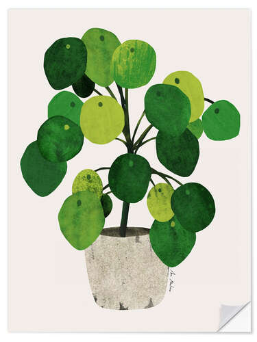 Vinilo para la pared Pilea plant