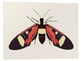 Stampa su PVC Red Butterfly