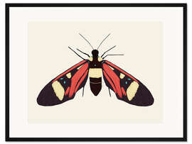 Gerahmter Kunstdruck Roter Falter