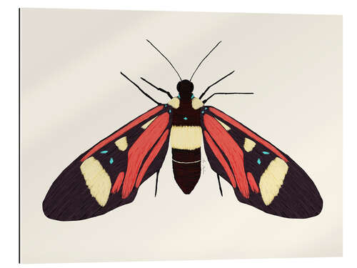 Gallery print Red Butterfly