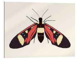 Gallery print Red Butterfly