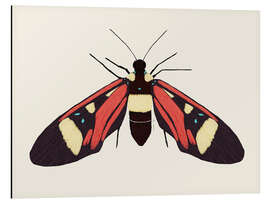 Magnettafel Roter Falter