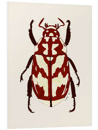 Foam board print Red beetle