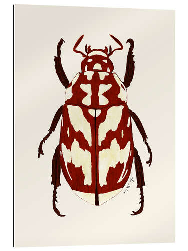 Gallery print Red beetle