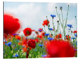 Aluminium print Poppy Meadow in Summer