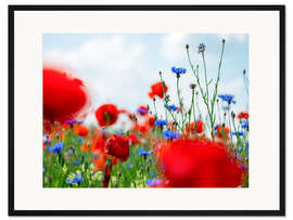 Gerahmter Kunstdruck Sommerliche Mohnwiese