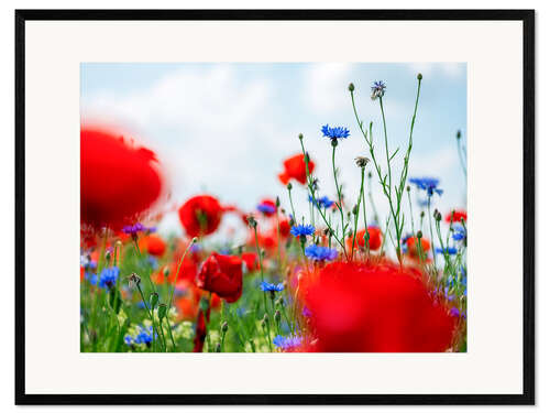 Innrammet kunsttrykk Poppy Meadow in Summer