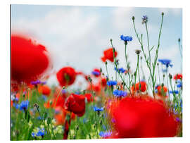 Gallery print Poppy Meadow in Summer