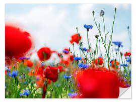 Selvklebende plakat Poppy Meadow in Summer