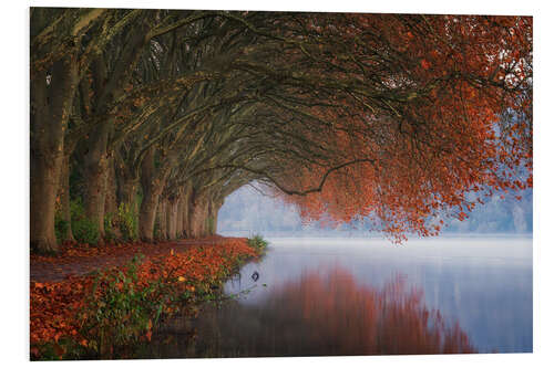 Tableau en PVC Autumn reflections