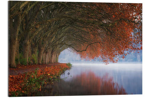 Gallery print Autumn reflections