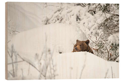 Holzbild Braunbär im hohen Schnee