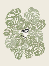 Magnettafel Die Katze und die Monstera