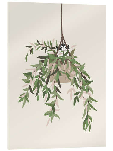 Acrylic print The cat in the hanging plant