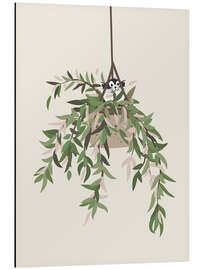 Tableau en aluminium The cat in the hanging plant