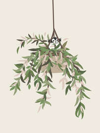 Magnettafel Die Katze in der Hängepflanze