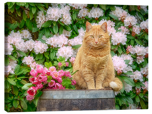 Canvas-taulu Red cat with spring flowers