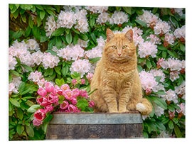 Foam board print Red cat with spring flowers