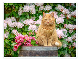 Wall print  Red cat with spring flowers - Katho Menden