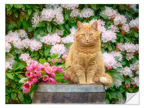 Naklejka na ścianę Red cat with spring flowers