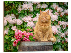 Holzbild Rote Katze mit Frühlingsblumen