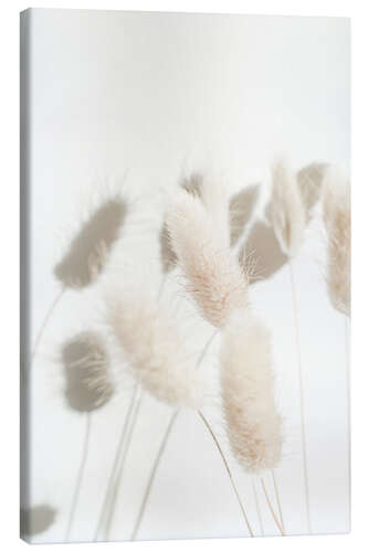 Lienzo Bunny Tail Grass