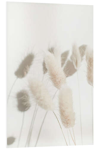 Cuadro de PVC Bunny Tail Grass