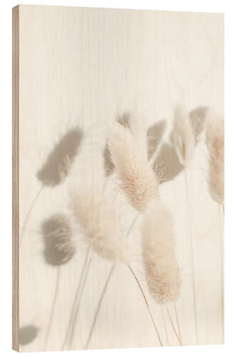 Wood print Bunny Tail Grass