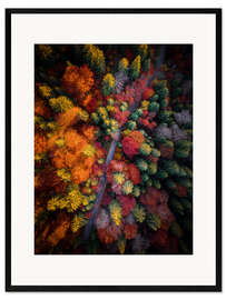Impression artistique encadrée Fall stories