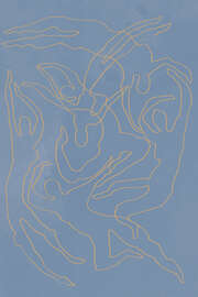 Magnettafel Blue swimmers