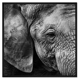 Gerahmter Kunstdruck Elephant skin