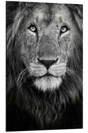 Magnettafel Royal portrait